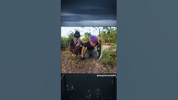 Hậu Cáo oẹ 🤣🔥