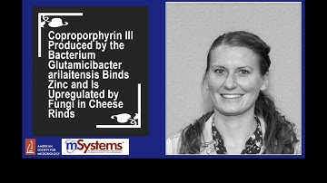 Cheese Rind Cocultures Produce Zn-Coproporphyrin III