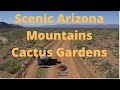 Scenic Cactus Garden Views - Hualapai Mountains Kingman Arizona