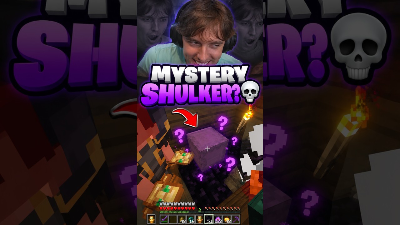 Bro Found a Mystery Shulker 😭