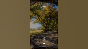 اللهم ارزقنا الجنه | #quran #explore  #islam #تلاوات #fyp #القران_الكريم #تلاوة