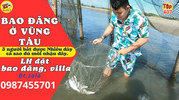 Bao đăng đồi nhái Vũng Tàu -  Không đủ ăn #407