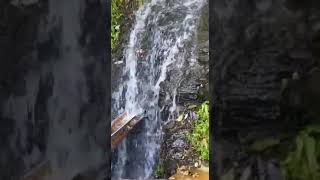 beautiful waterfall North Coast Trinidad