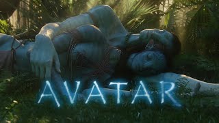 Avatar | Forest | Ambient Soundscape