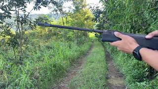 First time hunting birds in the jungle and camping 🏕️ screenshot 5