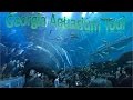 Georgia Aquarium Tour | Best In The Nation!