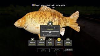 Первый цветной трофей на янтарке) || Русская Рыбалка 4 #рр4
