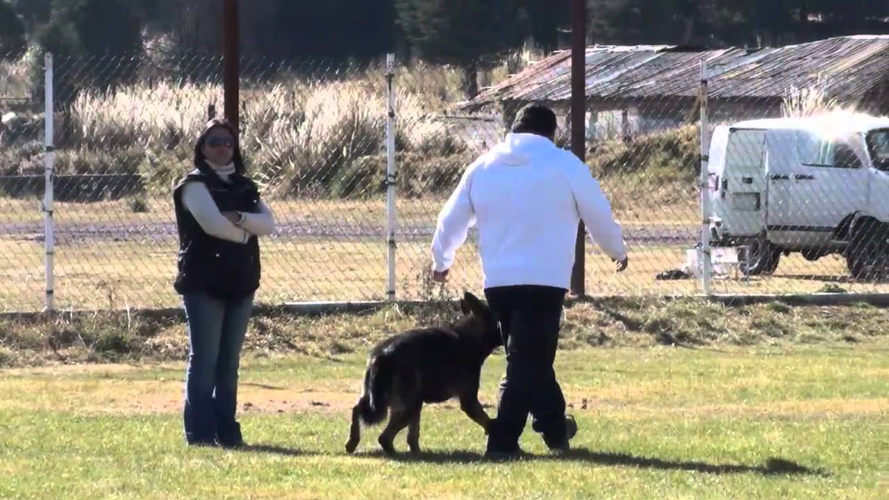 video phone beyonce mp3 Baru von Stark - Prueba de BH