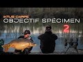 Iktus carpe  objectif specimen 2 peche de la carpe 4k