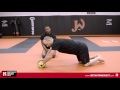 Ab wheel rollout tutorial for beginners with MMA coach Greg Jackson