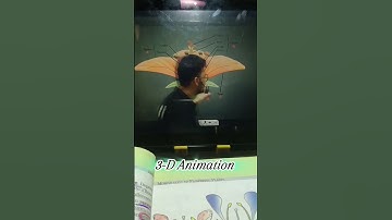 3-D Animation By Vipin sir #physicswallah #shorts