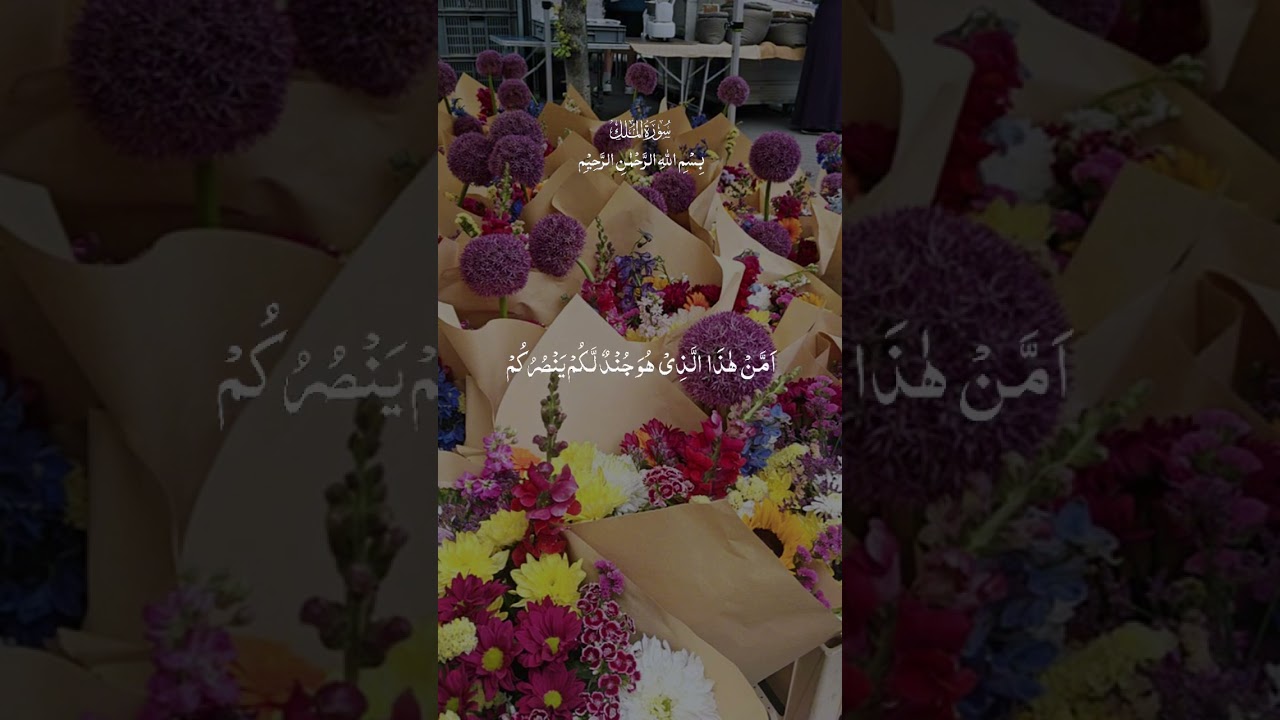 Quran #followers #everyone #shorts #islam #islamic