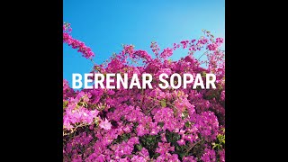 Video thumbnail of "PAU VALLVÉ - Berenar sopar (Lletres/Letras/Lyrics)"