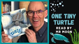 One Tiny Turtle. Nonfiction stories for children at home.