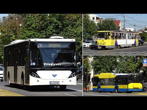 Video: Companii de transport public care deservesc zona LA