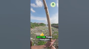 Keep trying #hanoixanh #donrac #cleanup #shorts #trending #windnet