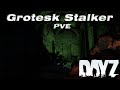 DAYZ PVE | ИСПЫТАНИЯ НА ПРОЕКТЕ GROTESK STALKER: ХВОСТЫ ДЛЯ ГЕОРГИЯ И РЫБАЛКА