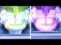 果宝特攻 2 Fruity Robo 2 47 果宝特攻 2 Fruity Robo 2 47