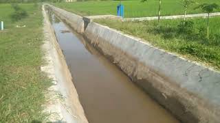 Alhamdulillah...bunga Padinya Udah Pada Nyembul Sawah Joeragan Moeda Chanel