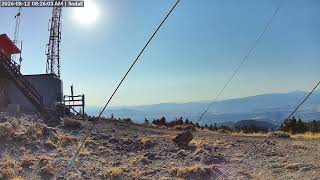 SodaEast-20260812