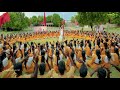 Bahavathi baba song