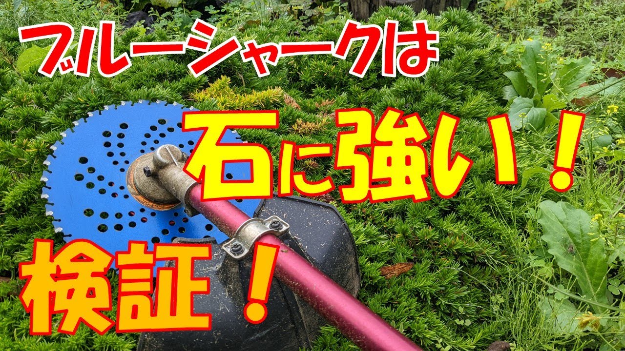 007 【ブルーシャークを使ってみた！】レビュー動画です！ - YouTube