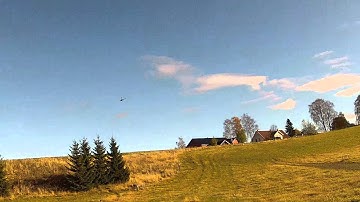 RC FLIGHT FLIPPING TREX 250 DFC PRO