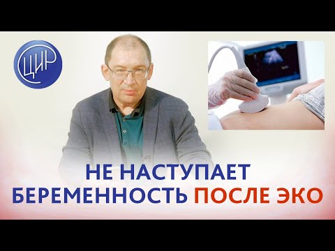 Не наступает беременность после ЭКО. В чём причина неудачных ЭКО? Отвечает Гузов И.И.