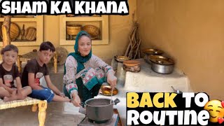 Download Lagu Morning To Evening Routine ||Shumaila Waseem vlog MP3 Download Lagu Morning To Evening Routine ||Shumaila Waseem vlog MP3