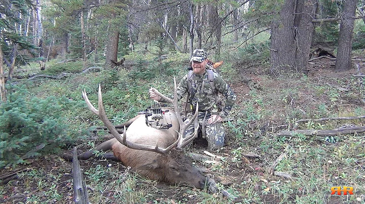 Colorado Archery Elk Hunt - Call 'em to Your Toes!...