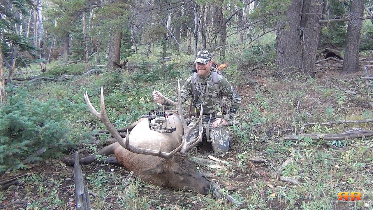 Colorado Archery Elk Hunt Call 'em to Your Toes! 5x6 HeartShot YouTube