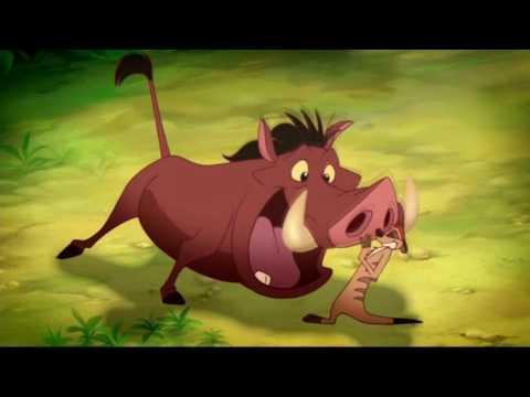 Disney-Wild About Safety