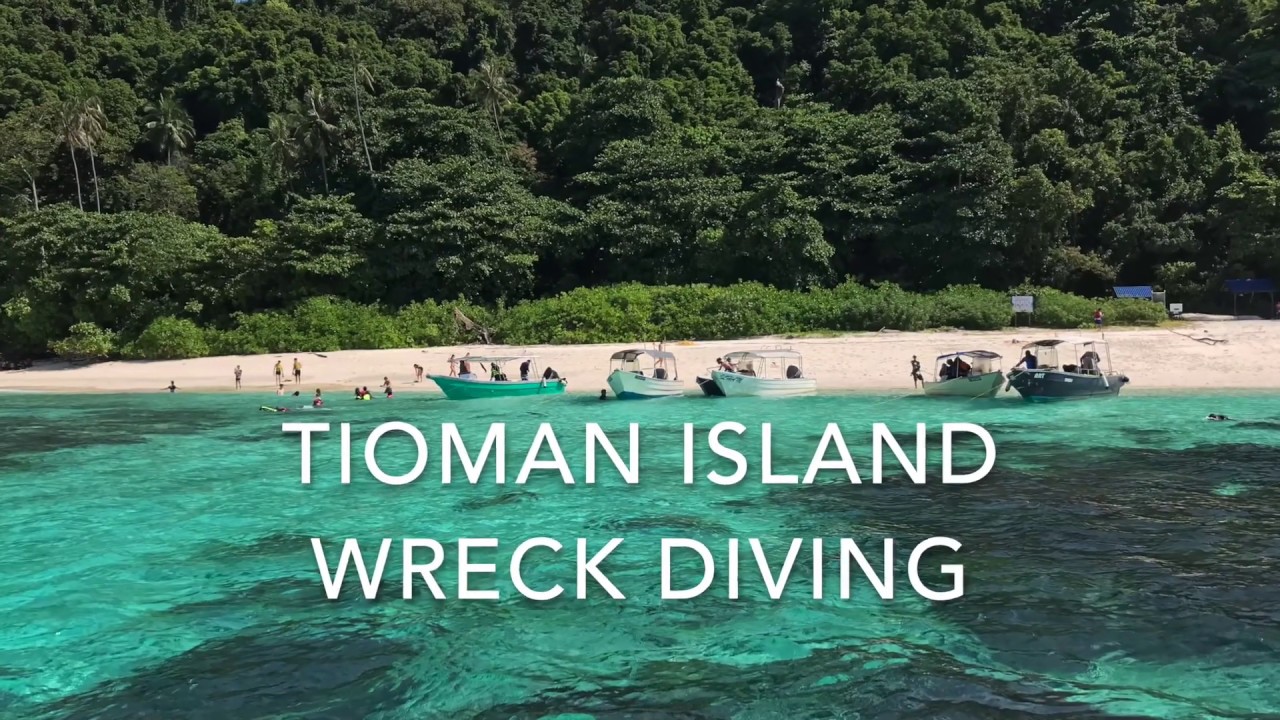 Wreck Diving In The Tioman Islands Malaysia ティオマン島 沈没船ダイビング Youtube