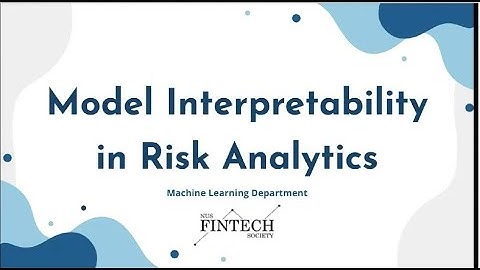 Model Interpretability in Risk Analytics - NUS Fintech Society 2022 Introductory Workshop
