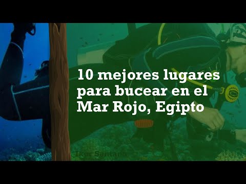 Video: Los mejores sitios de buceo en el Mar Rojo egipcio