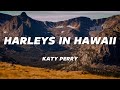 Katy Perry Harleys In Hawaii Slowed TikTok Lyrics You And I