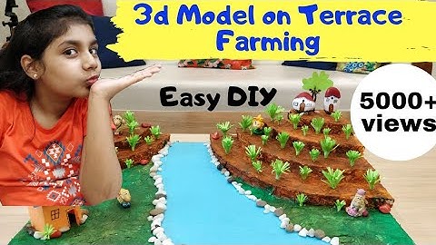 3D model Terrace Farming | Model from waste material | Science Project | step farming model