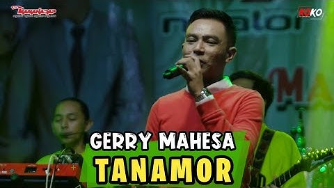 GERRY MAHESA | TANAMOR  | New MANAHADAP (Cover)