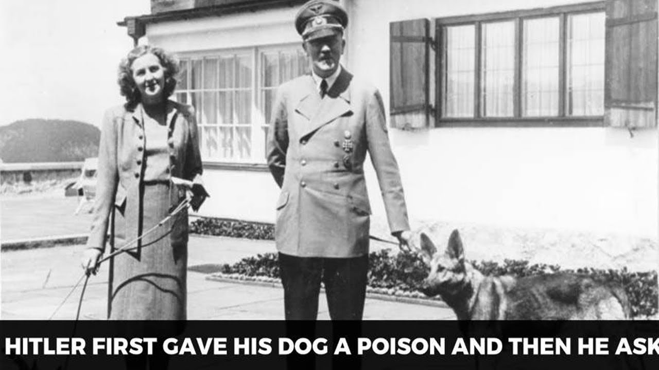 Facts About Hitler'S Relationship With His Wife Eva Braun