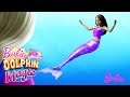 You&#39;re a Mermaid? | Dolphin Magic | @Barbie