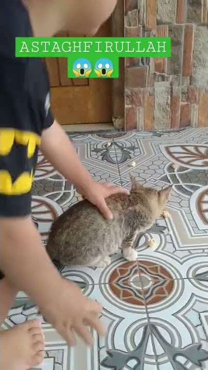 astaghfirullah, kaget banget. suara petir abis Dede Azar teriak #shorts #anak #kaget #petir #kucing