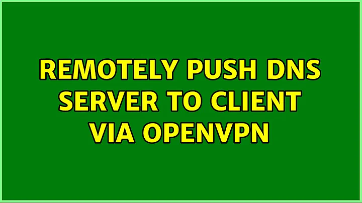 Remotely push DNS server to client via OpenVPN (2 Solutions!!)