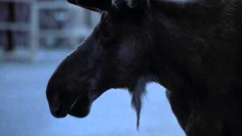 Northern Exposure Intro