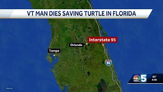 Vermont man dies trying to save turtle on busy Florida interstate