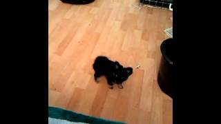 VIDEO0056.mp4