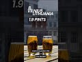 AS IF A Pint Is That Cheap In Namibia Shorts AS IF A Pint Is That Cheap In Namibia Shorts