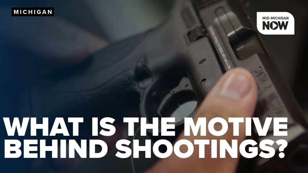 Gun violence study at Wayne State seeks to uncover motives