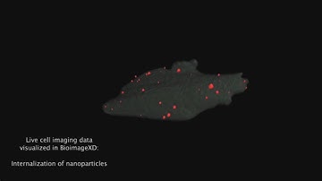 BIMA2015  BioimageXD software