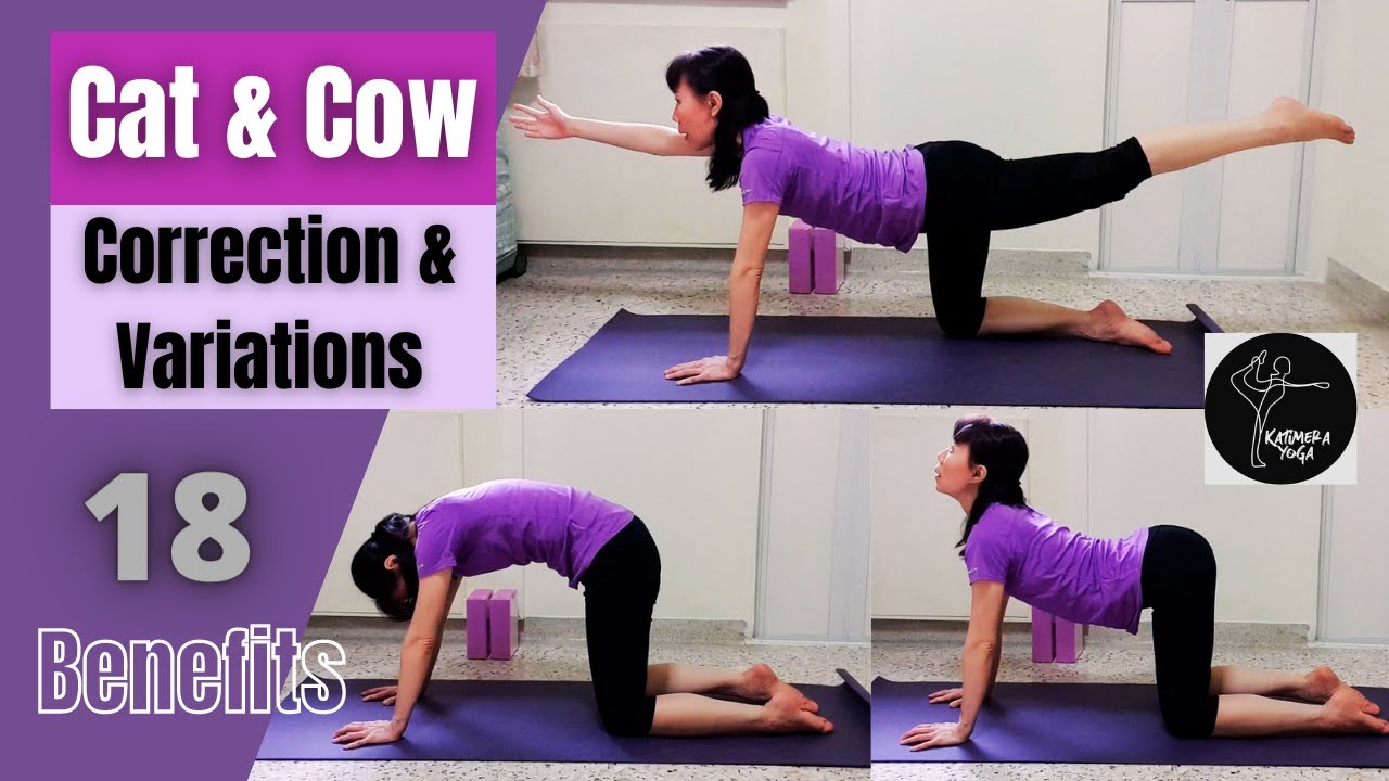 Cat-Cow Pose Yoga: Merging the Cat and Cow for Ultimate Stretch