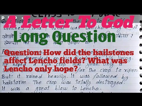 Video: Wat heeft de velden van Lencho vernietigd?